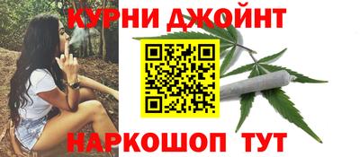 spice Гай