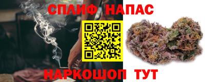 spice Гай